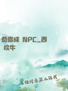 恭喜成為NPC